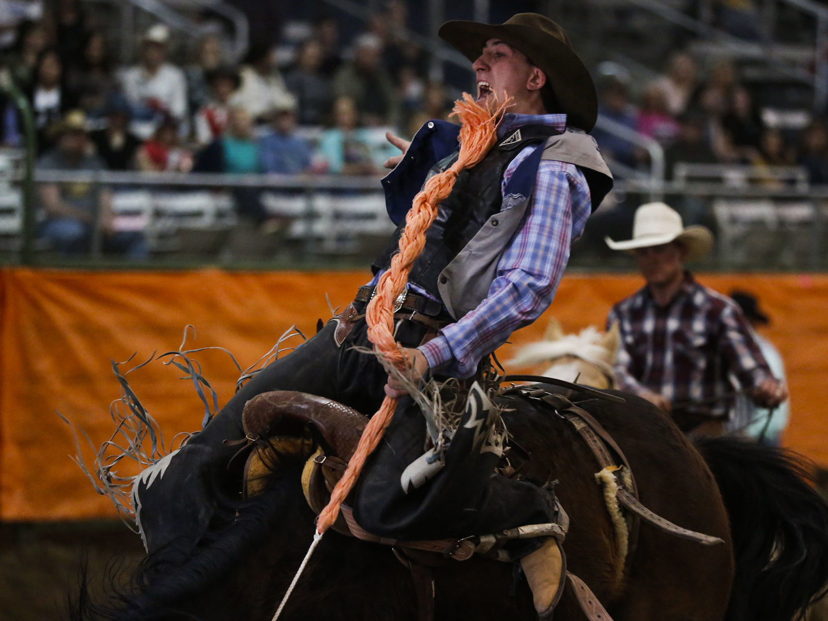 Ropin' and Riggin' Days